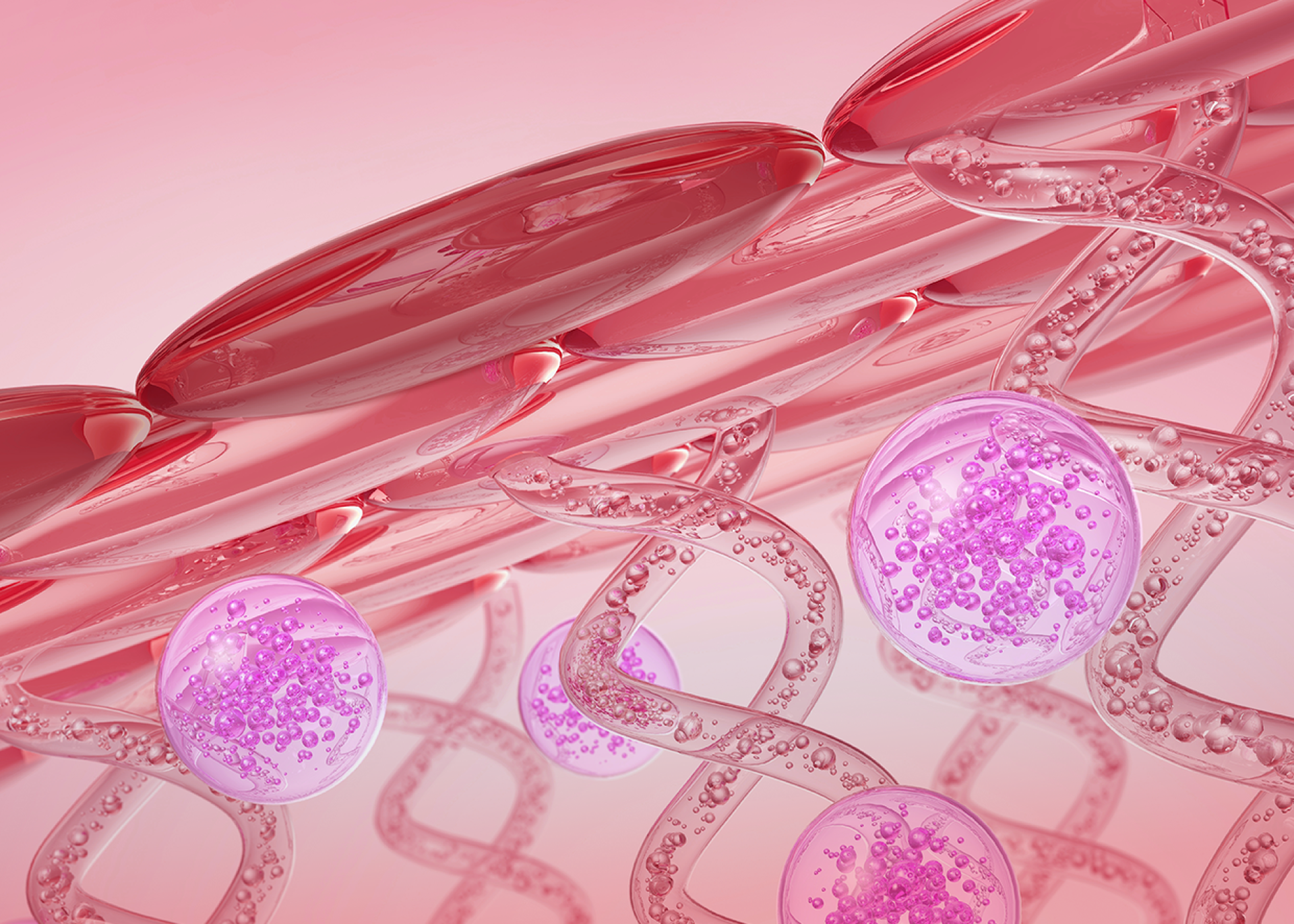 DERMA-VECT N vectorized niacinamide