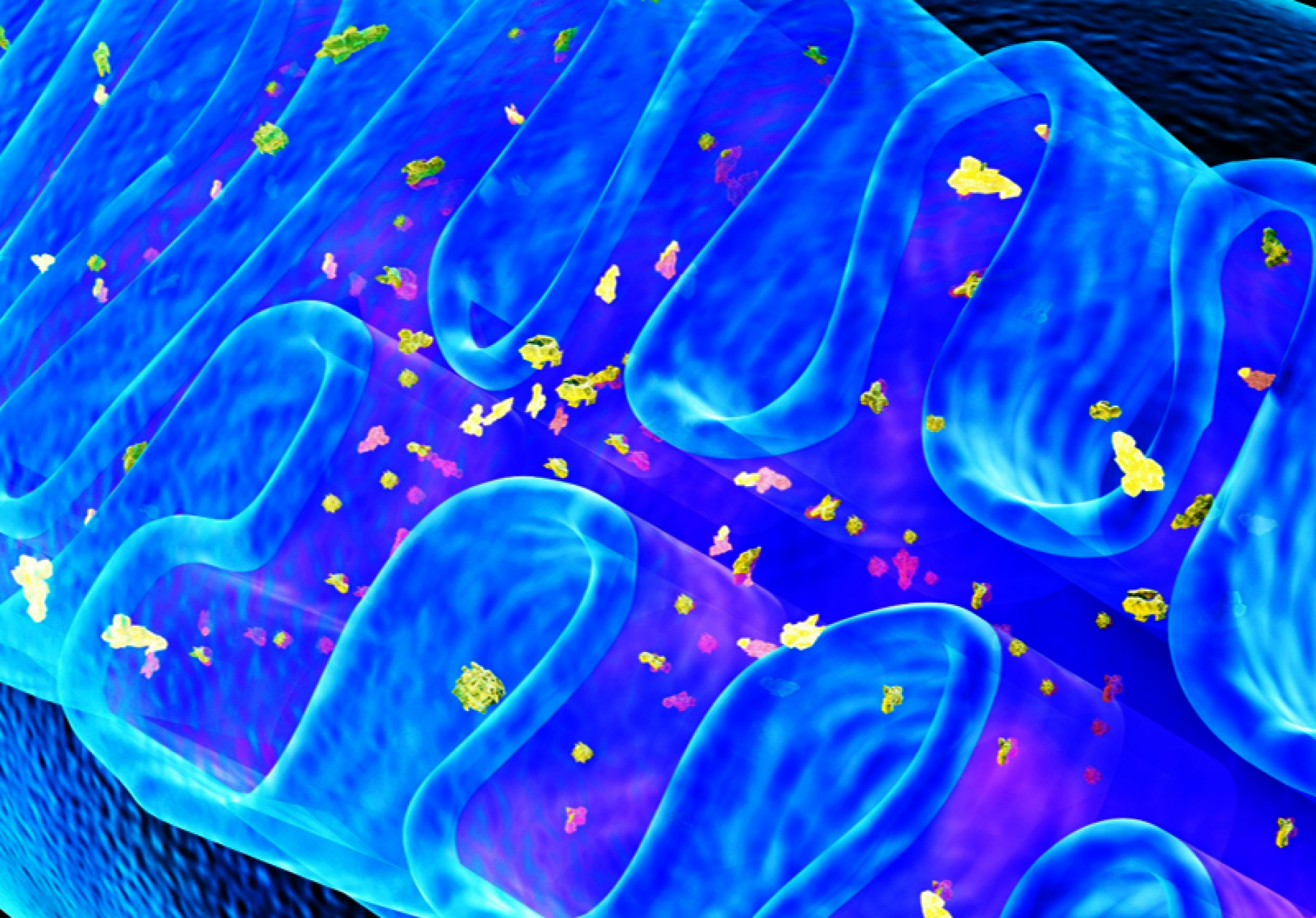 DERMA-VECT NAD cosmetic active ingredient NAD niosomes anti-aging cell renewal