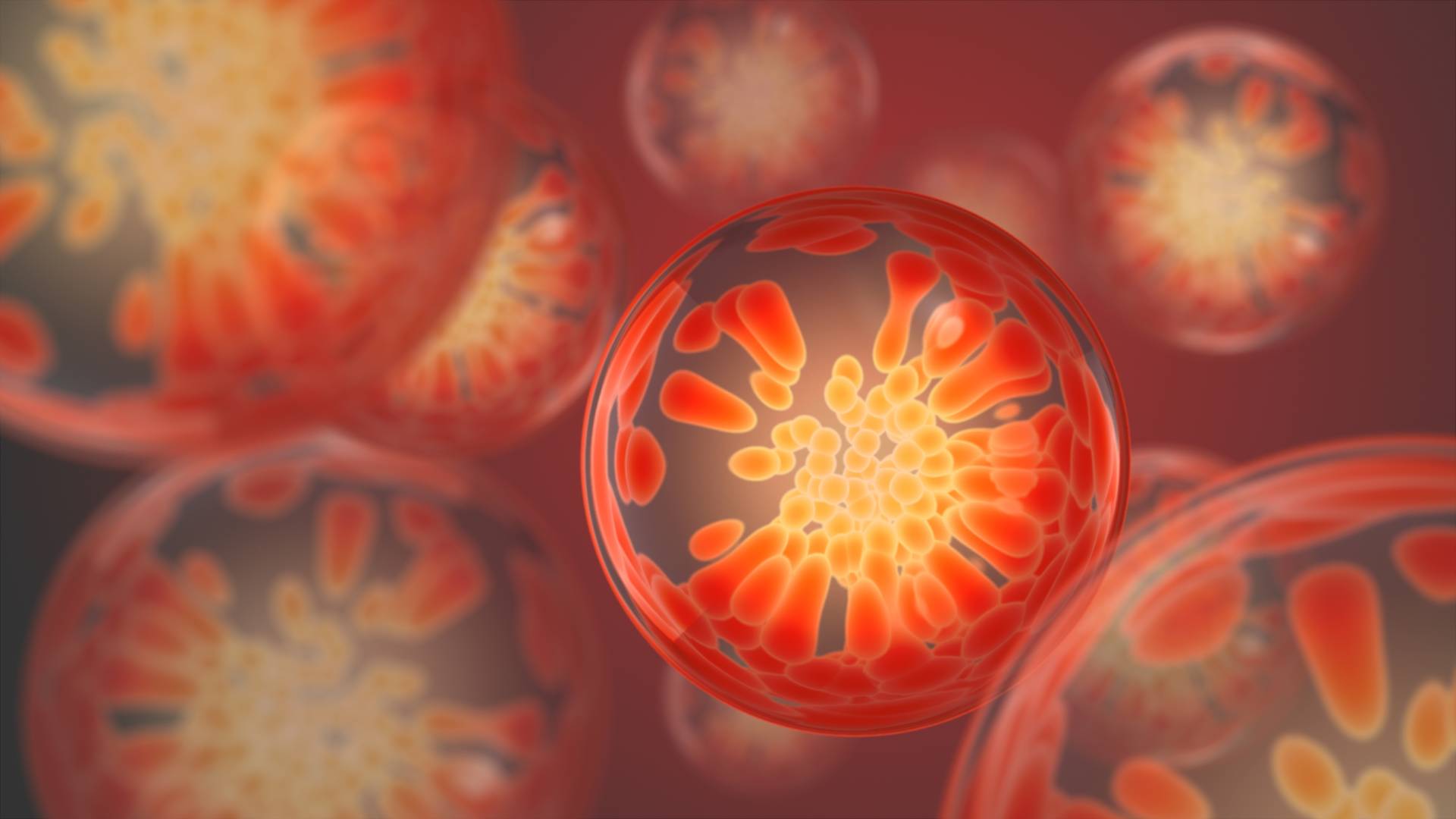 DERMA-VECT NMN cosmetic active ingredient nicotinamide mononucleotide niosomes anti-aging skin longevity