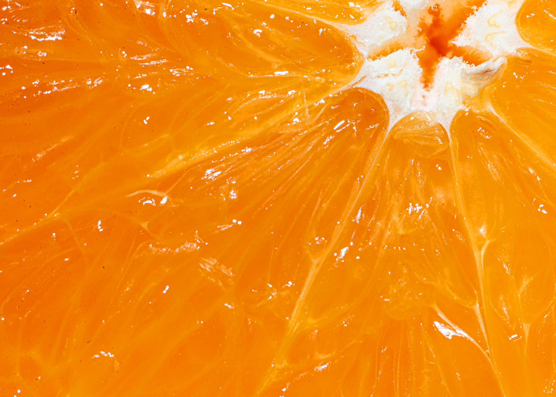 Cross-sectioned fresh orange slice showing juicy pulp and vitamin C-rich segments